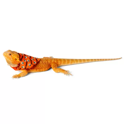 Product Thrills & Chills Spooky 2-Pack Reptile Bandanas