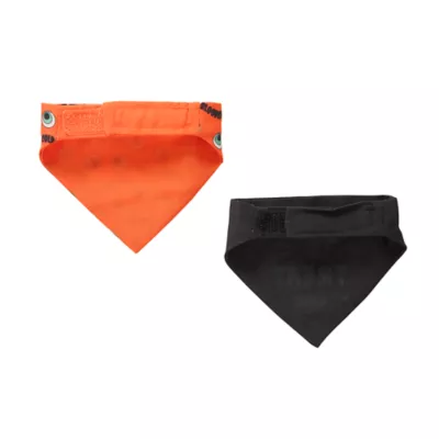 Product Thrills & Chills Spooky 2-Pack Reptile Bandanas