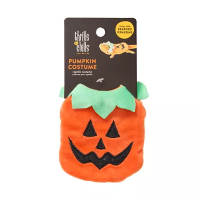 Product Thrills & Chills Pumpkin Reptile Costume