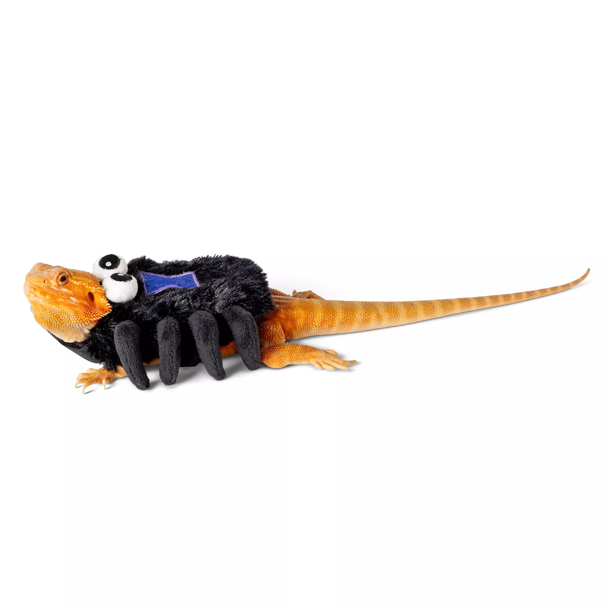 Thrills & Chills Spider Reptile Costume