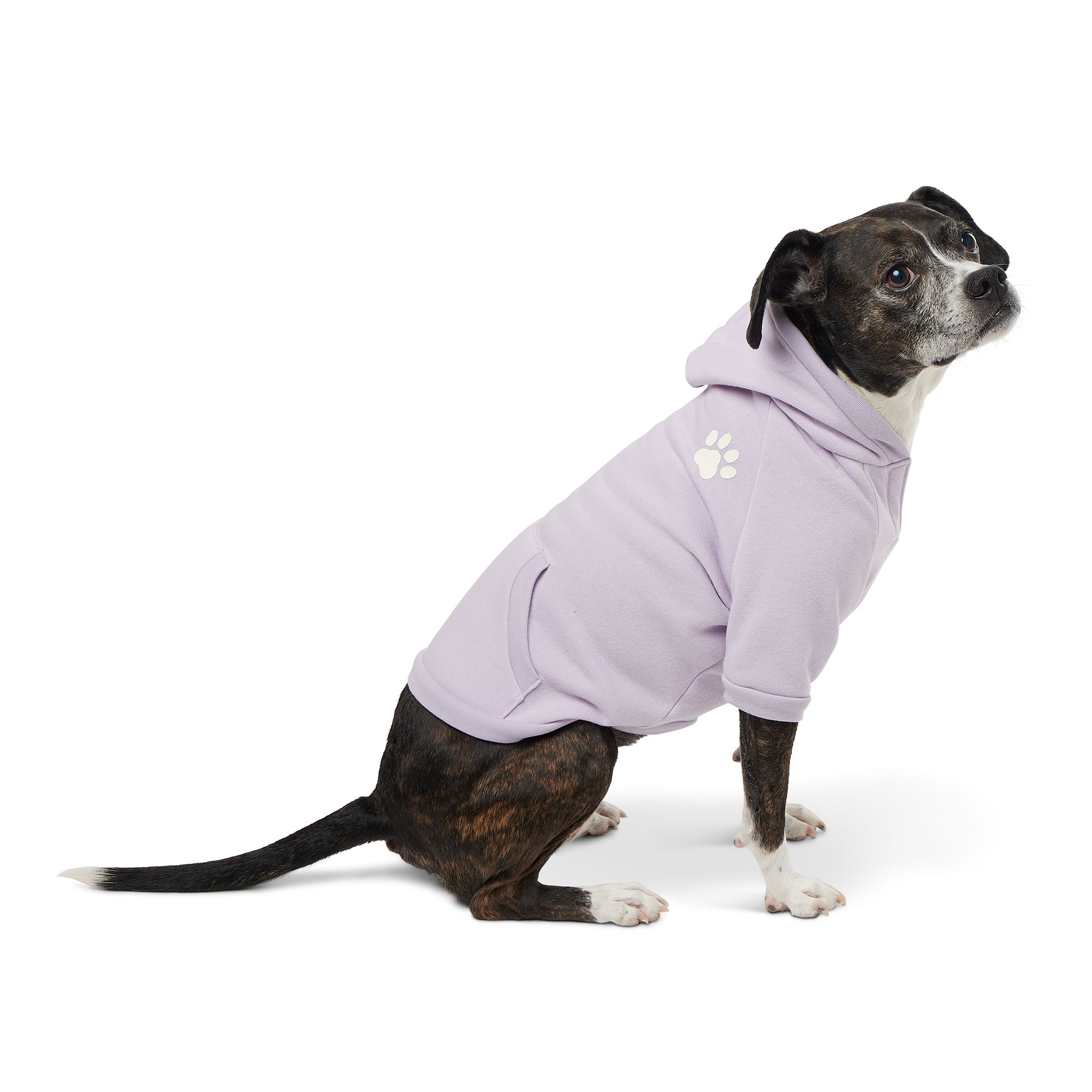 Dog hawaiian shirt petsmart sale