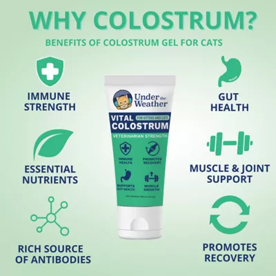 Product Under The Weather Cat Vital Colostrum Gel for Cat