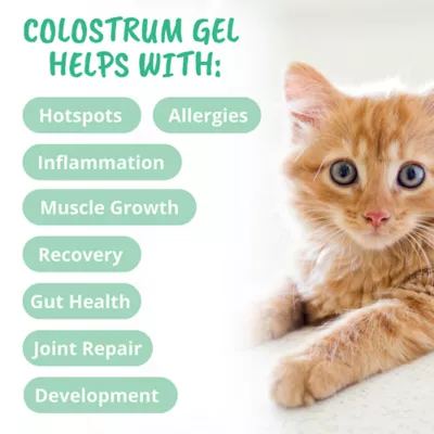 Product Under The Weather Cat Vital Colostrum Gel for Cat