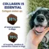 Under The Weather Dog Collagen Soft Chew Supplements for Skin & Joint Health, Chicken Liver, 60 CT image thumbnail 4