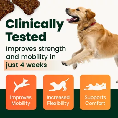 VetriScience Dog GlycoFlex Plus Hip and Joint Supplement with Glucosamine, Soft Chews, 45 Count - Image 3