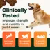 VetriScience Dog GlycoFlex Plus Hip and Joint Supplement with Glucosamine, Soft Chews, 45 Count image thumbnail 3