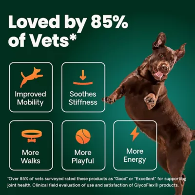 VetriScience Dog GlycoFlex Plus Hip and Joint Supplement with Glucosamine, Soft Chews, 45 Count - Image 5