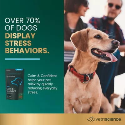 VetriScience Dog Calm & Confident Soft Chews, Stress & Anxiety Support, Peanut Butter Flavor, 45 CT - Image 3