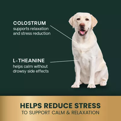 VetriScience Dog Calm & Confident Soft Chews, Stress & Anxiety Support, Peanut Butter Flavor, 45 CT - Image 5