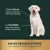 VetriScience Dog Calm & Confident Soft Chews, Stress & Anxiety Support, Peanut Butter Flavor, 45 CT image thumbnail 5