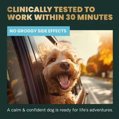 VetriScience Dog Calm & Confident Soft Chews, Stress & Anxiety Support, Peanut Butter Flavor, 45 CT - Image 10