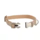 Product Top Paw® Houndstooth Dog Collar