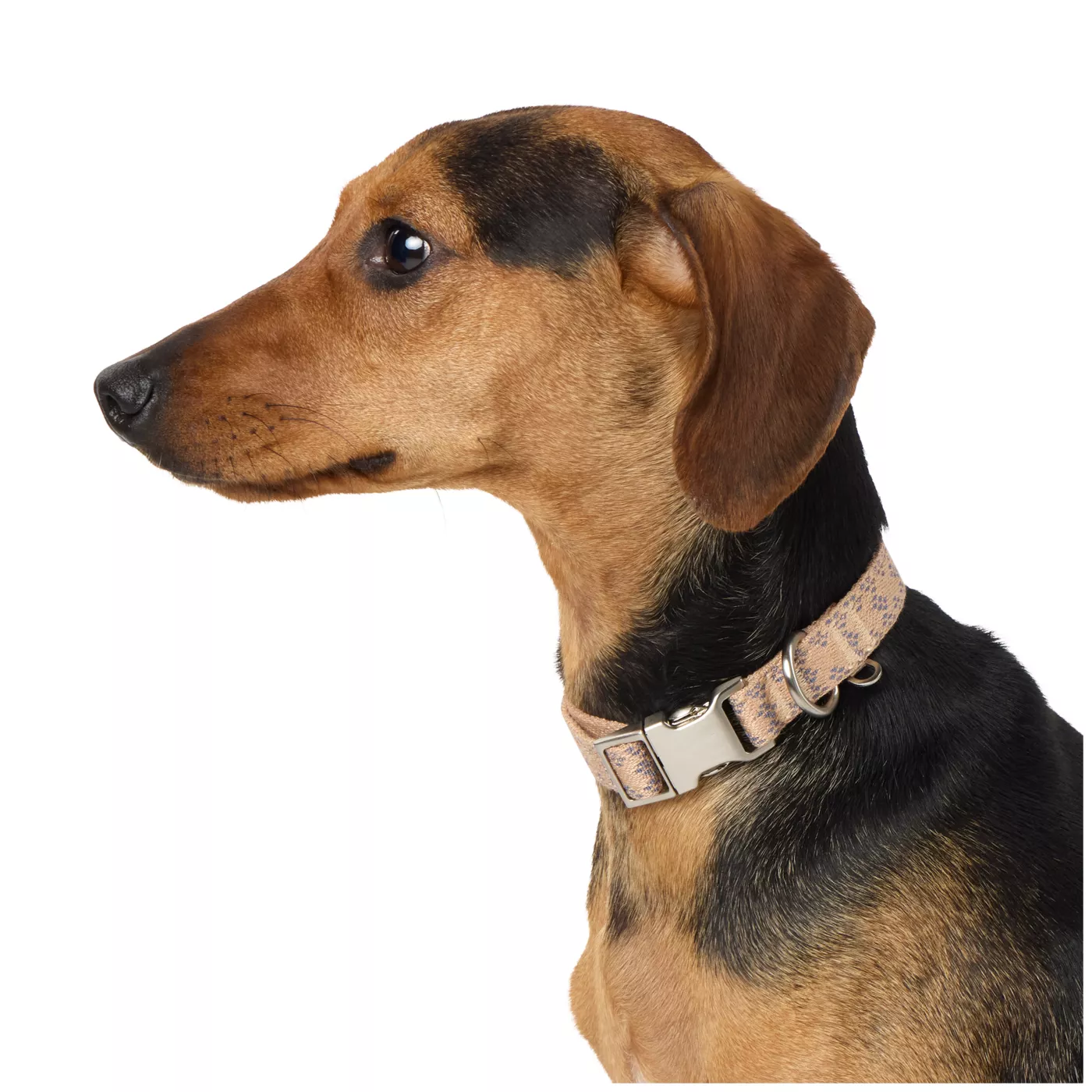 Houndstooth dog collar best sale