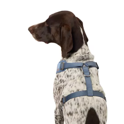 Top Paw Aztec Adjustable Fashion Comfort Dog Harness - Image 2