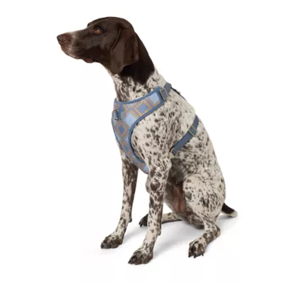 Product Top Paw Aztec Adjustable Fashion Comfort Dog Harness