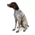 Top Paw Aztec Adjustable Fashion Comfort Dog Harness image thumbnail 1