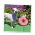 Doggijuana® Get the Munchies Refillable Donut Dog Toy image thumbnail 7