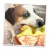 Doggijuana® Tuffer Chewer Refillable Grilled Cheese Dog Toy image thumbnail 6