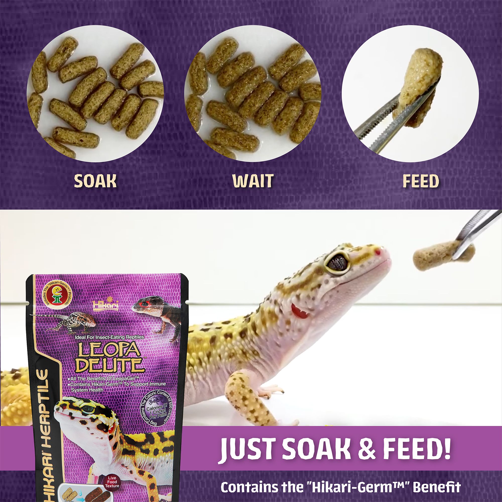 Hikari® Leopa Delite&trade; - Leopard Gecko Diet - 2.3 oz - thumbnail 5