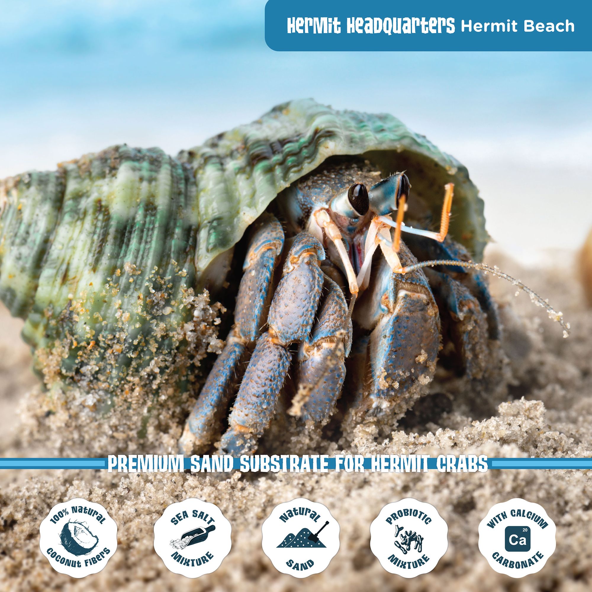 Fluker's Hermit Crab Beach Sand - Desert Reptile Sand Substrate - thumbnail 4