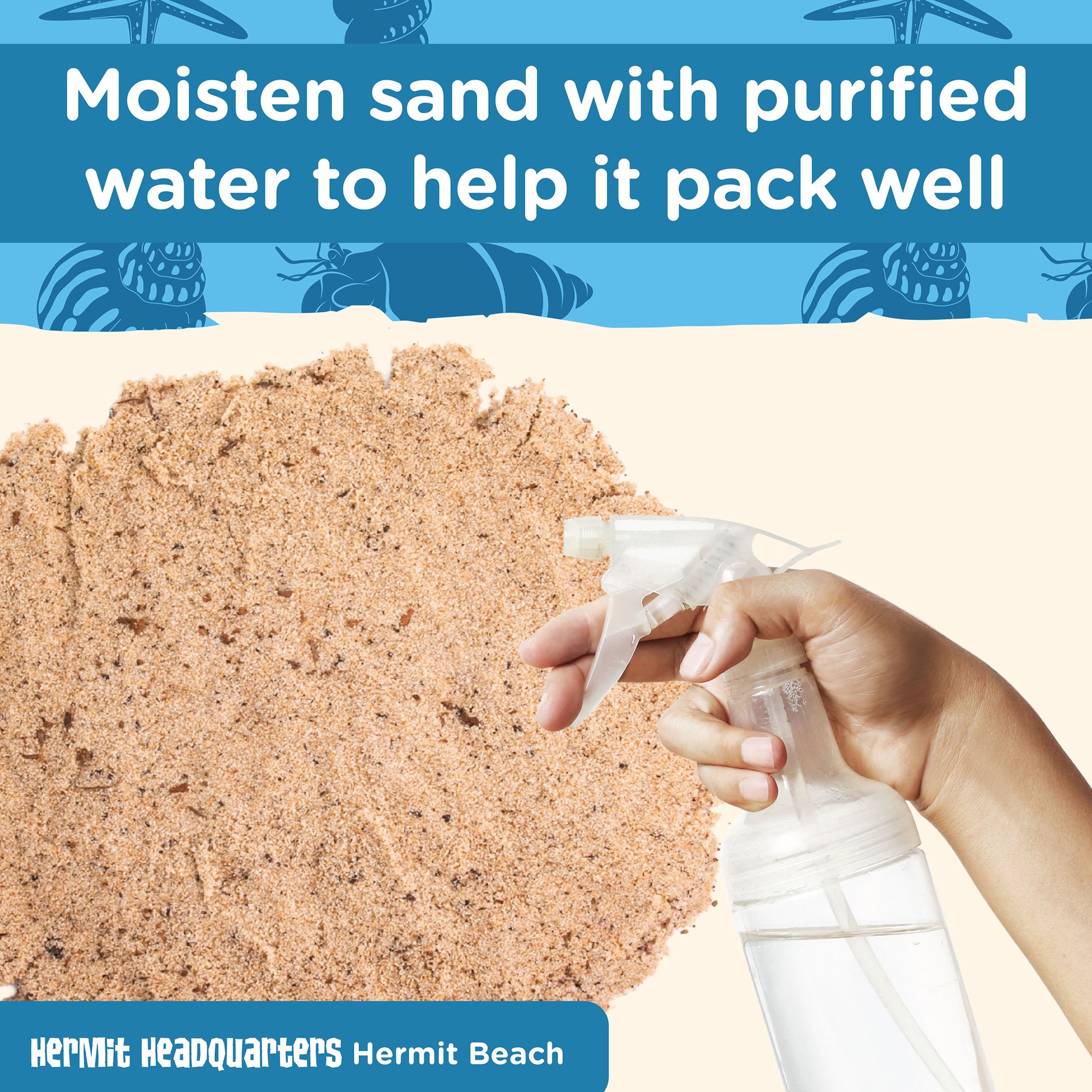 Fluker's Hermit Crab Beach Sand - Desert Reptile Sand Substrate - thumbnail 5