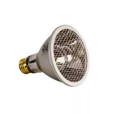 Product Zoo Med Heat Projector