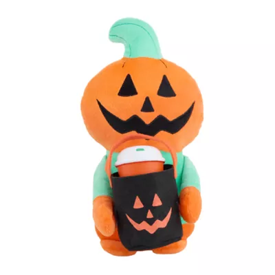 Product Thrills & Chills Plush Pumpkin with Basket Dog Toy