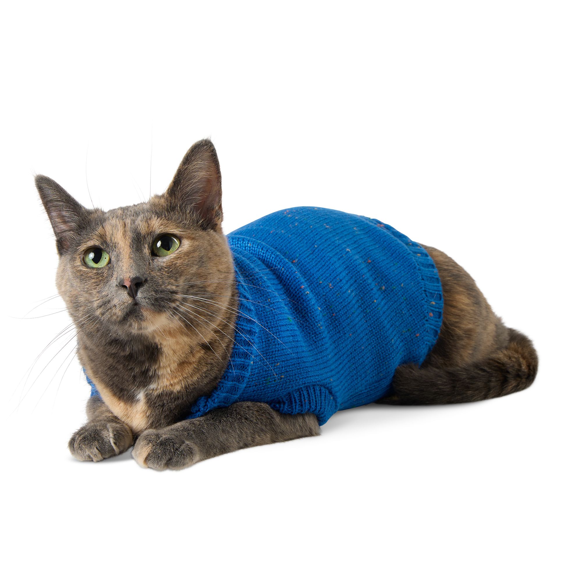 Top paw dog sweaters new arrivals
