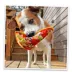 Doggijuana® Tuffer Chewer Refillable Pizza Dog Toy image thumbnail 7