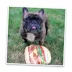 Doggijuana® Get The Munchies Refillable Cheeseburger Dog Toy image thumbnail 5