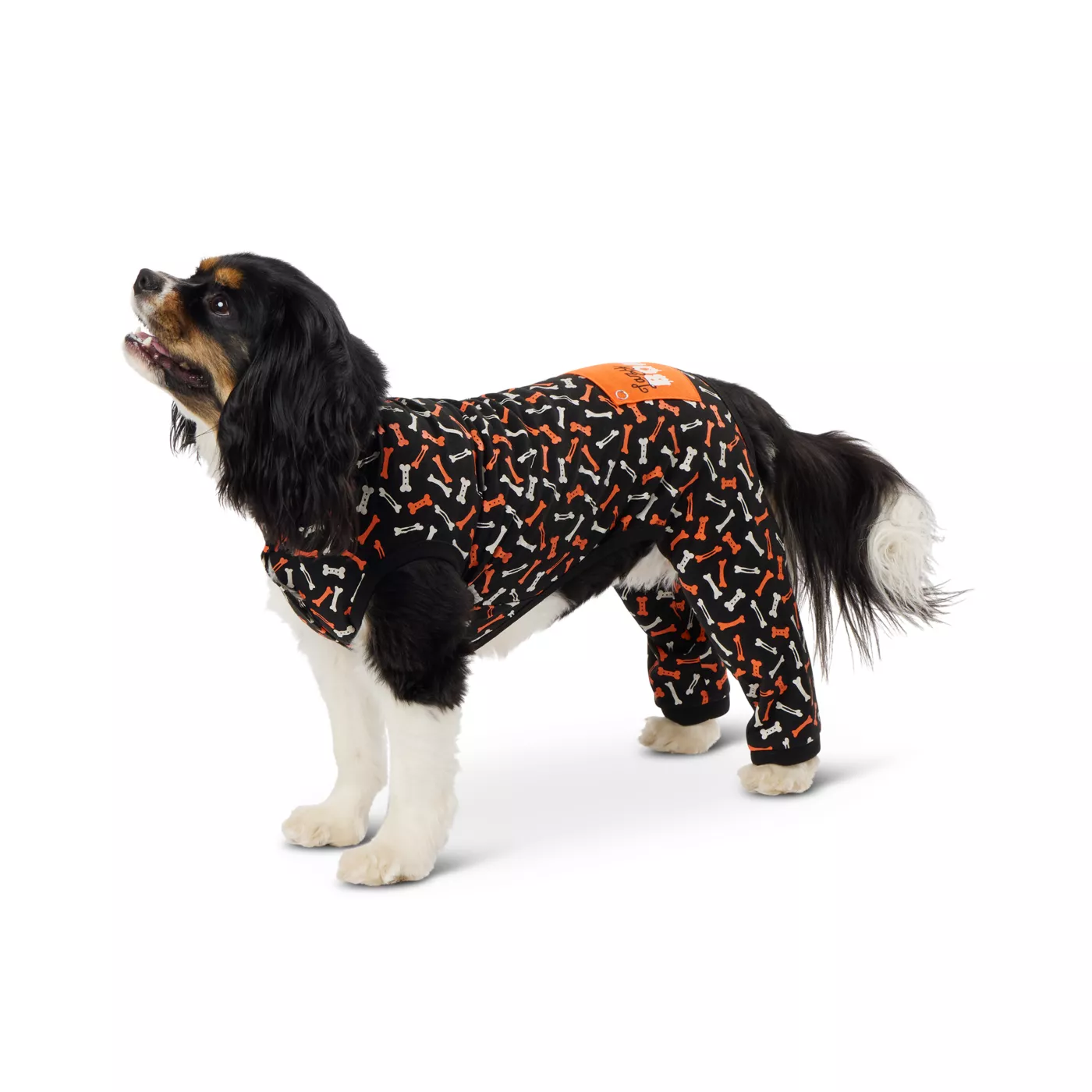 Dog onesies petsmart hotsell