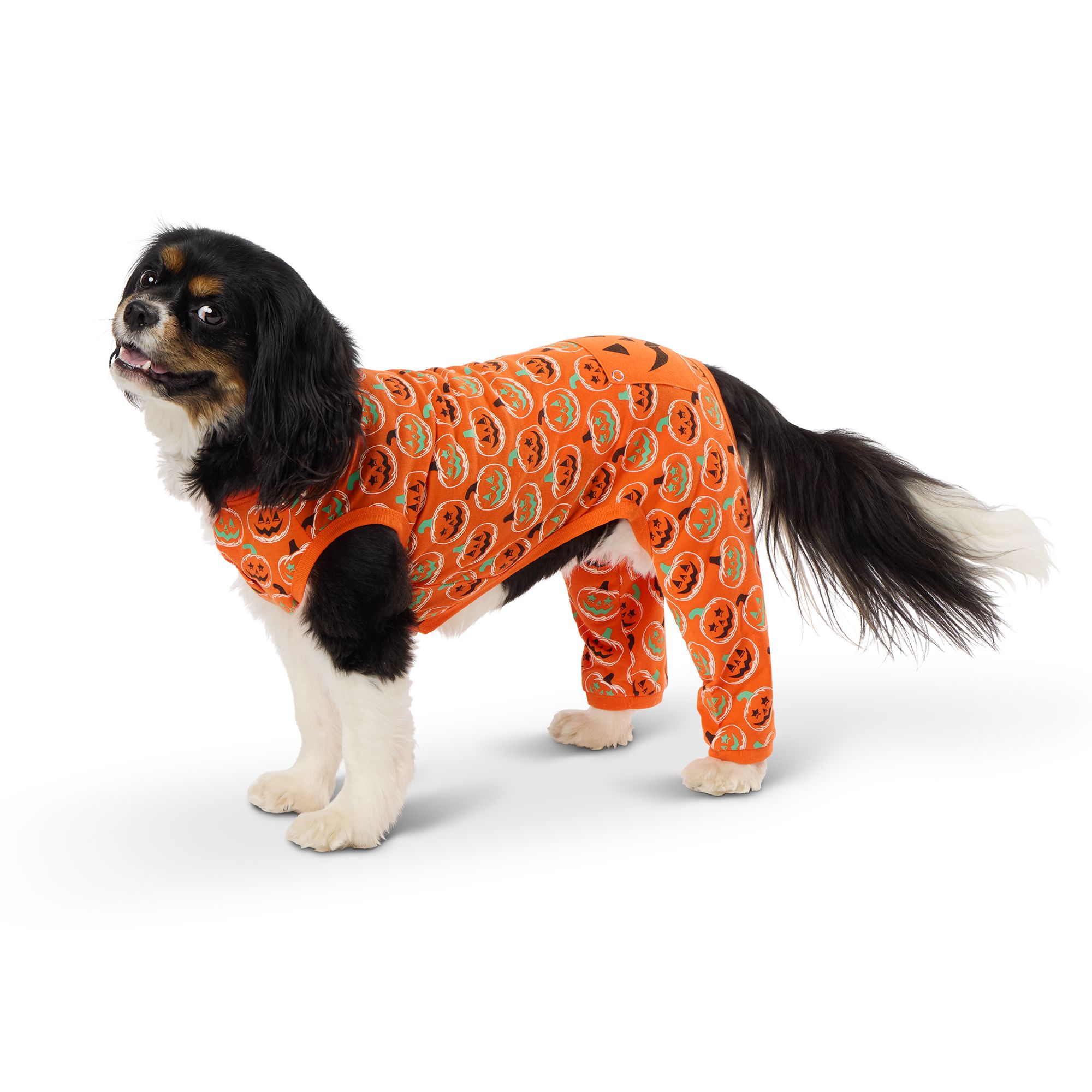 Thrills Chills Glow in the Dark Pumpkin Pajamas