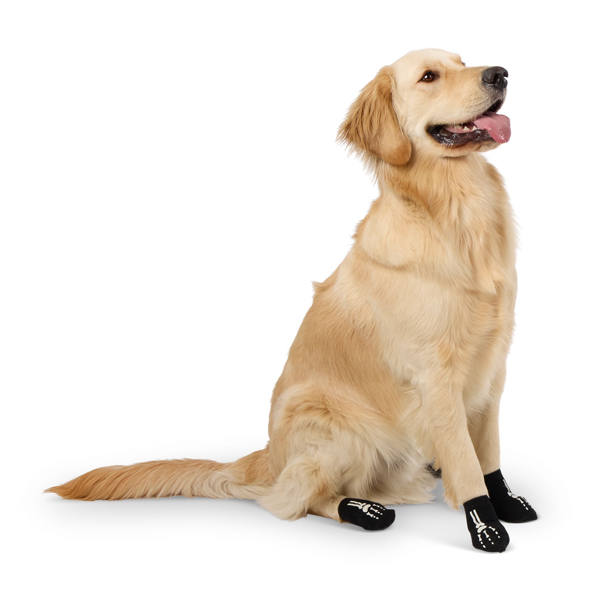 Petsmart dog socks sale