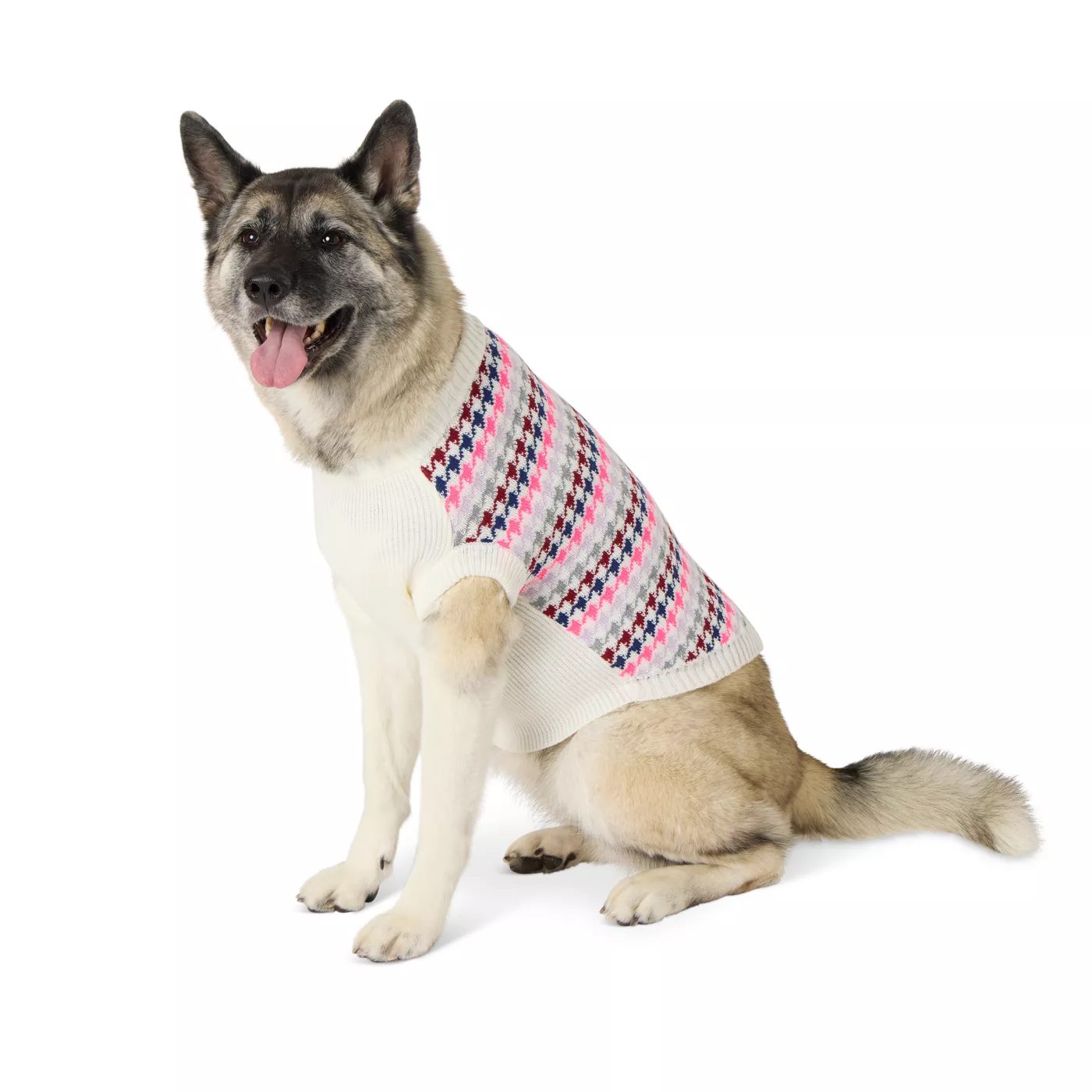 Dog sweater petsmart best sale