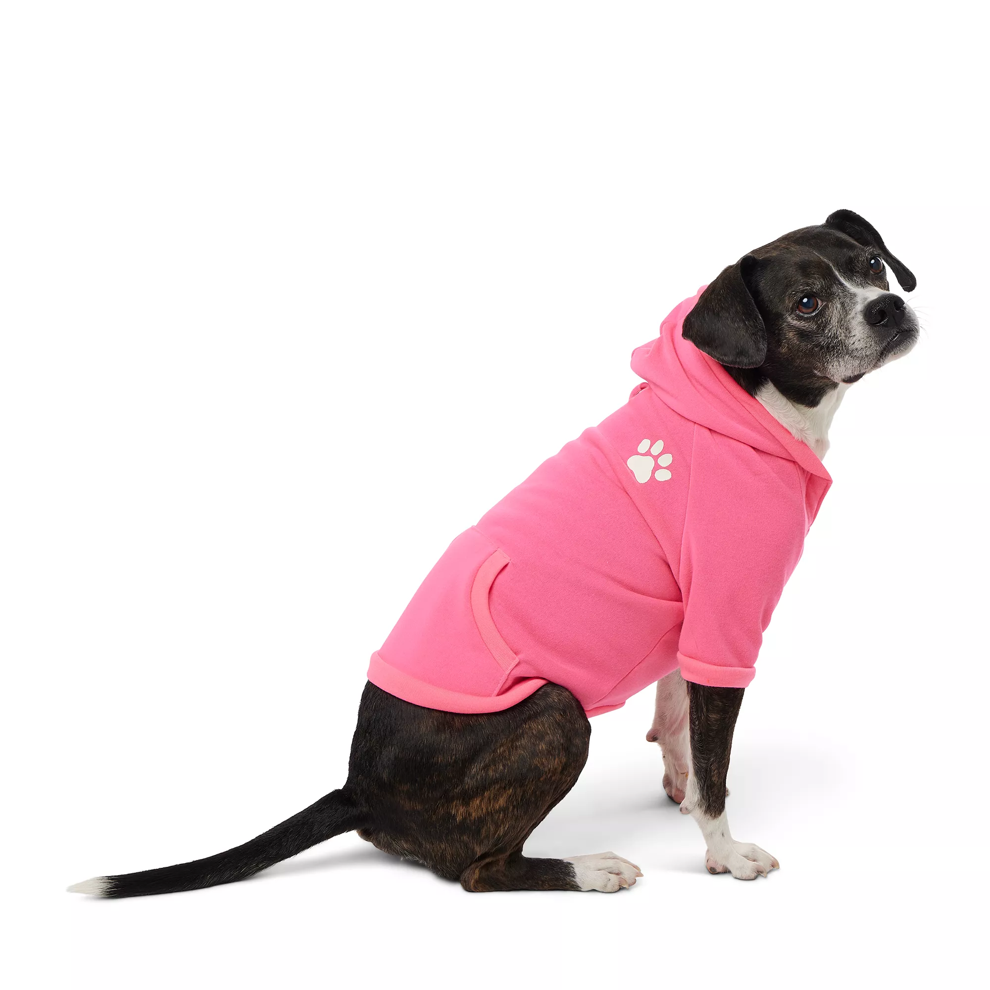  Top Paw Solid Hoodie