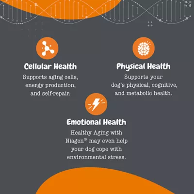 Product Zesty Paws Healthy Aging NAD+ Precursor