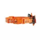 Product Thrills & Chills Embellish Pumpkin Dog Collar