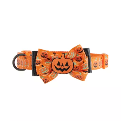 Product Thrills & Chills Embellish Pumpkin Dog Collar