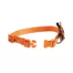 Product Thrills & Chills Embellish Pumpkin Dog Collar