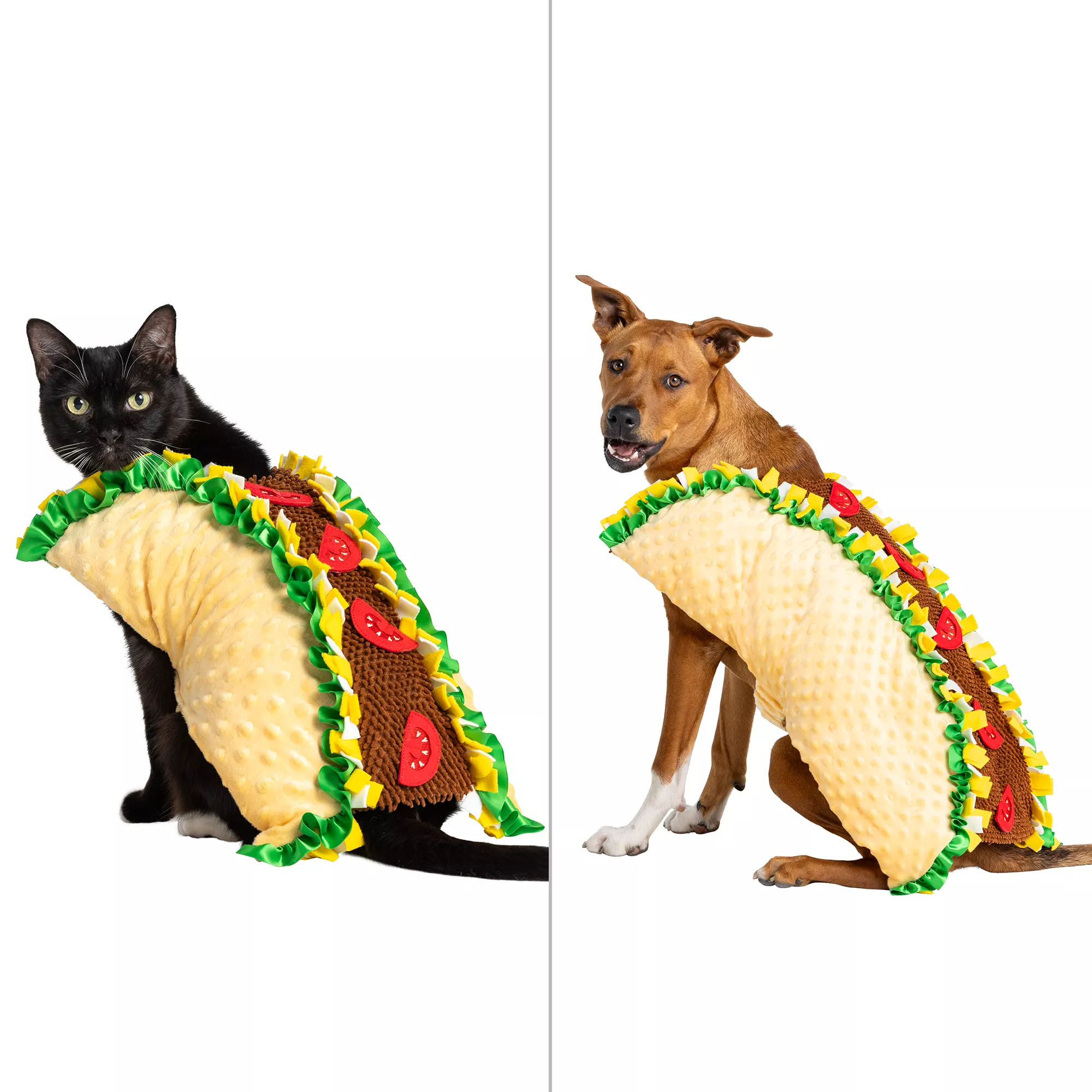 Thrills & Chills Taco Costume