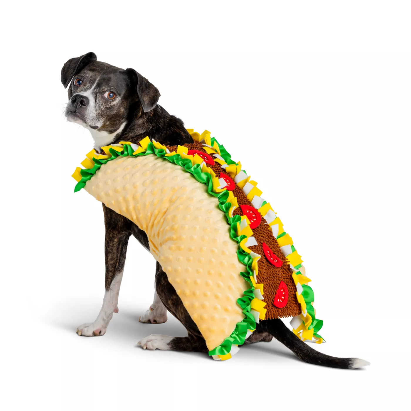 Thrills Chills Taco Costume