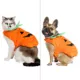 Product  Thrills & Chills Pumpkin Costume