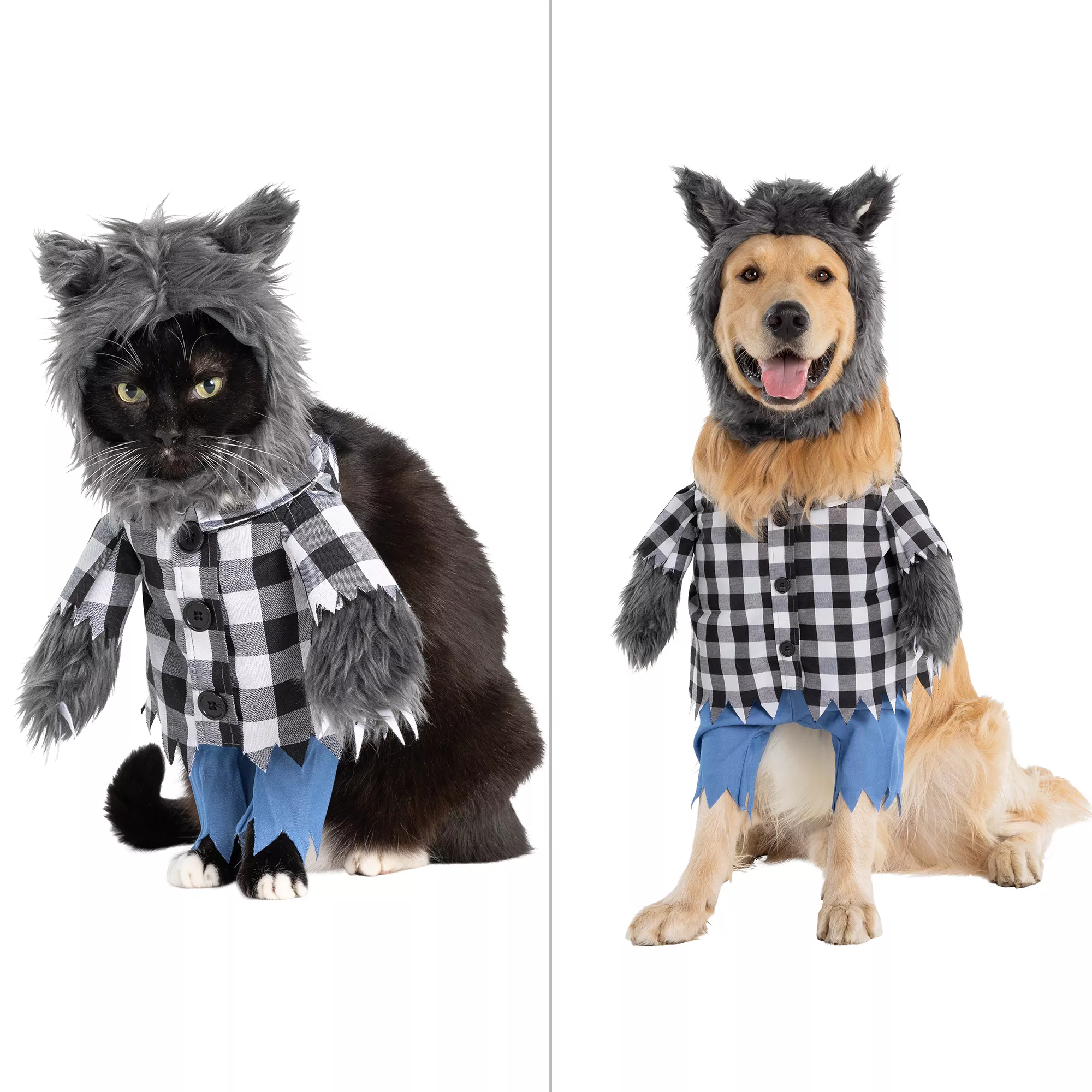 Thrills & Chills Werewolf Costume