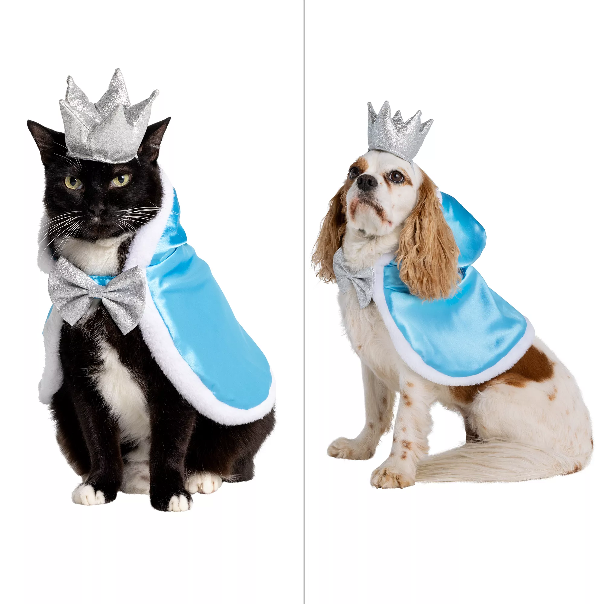 Thrills & Chills Princess Dog Costume