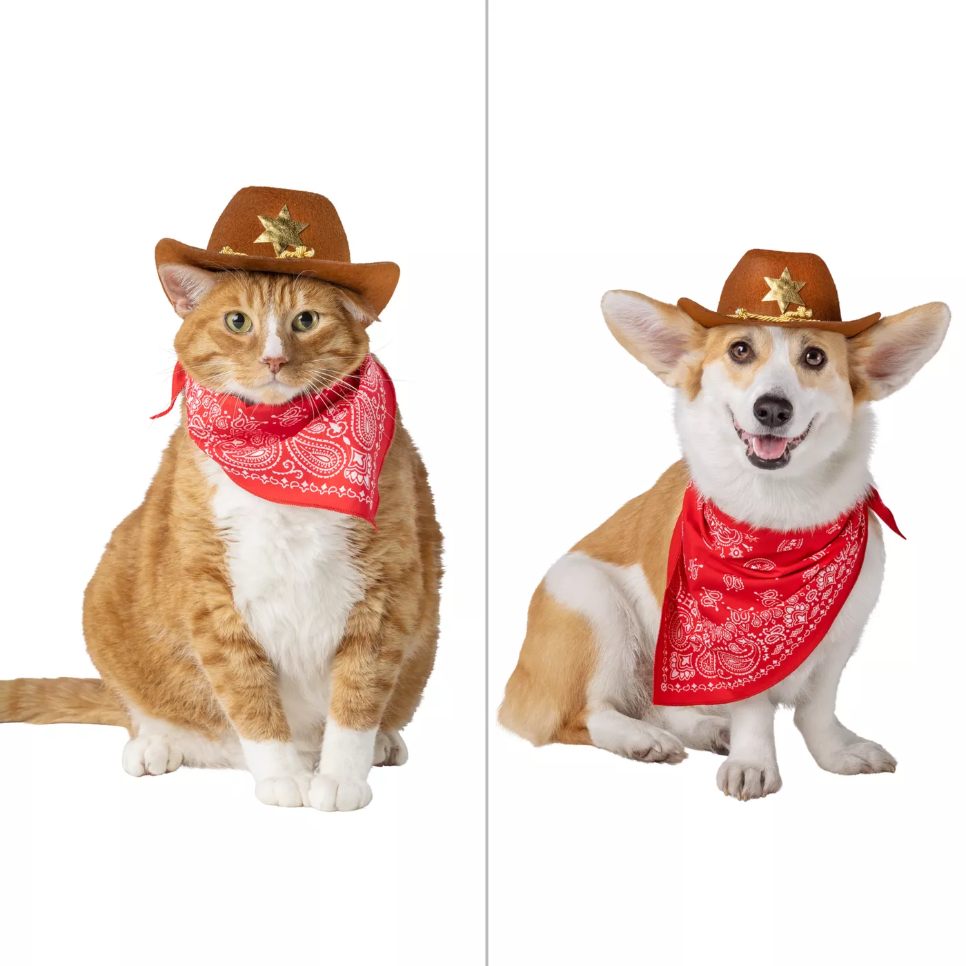 Dog in cowboy costume best sale