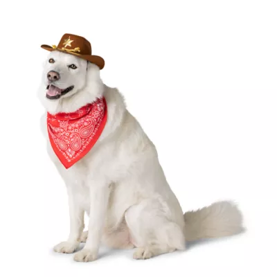 Product Thrills & Chills Cowboy Pet Costume