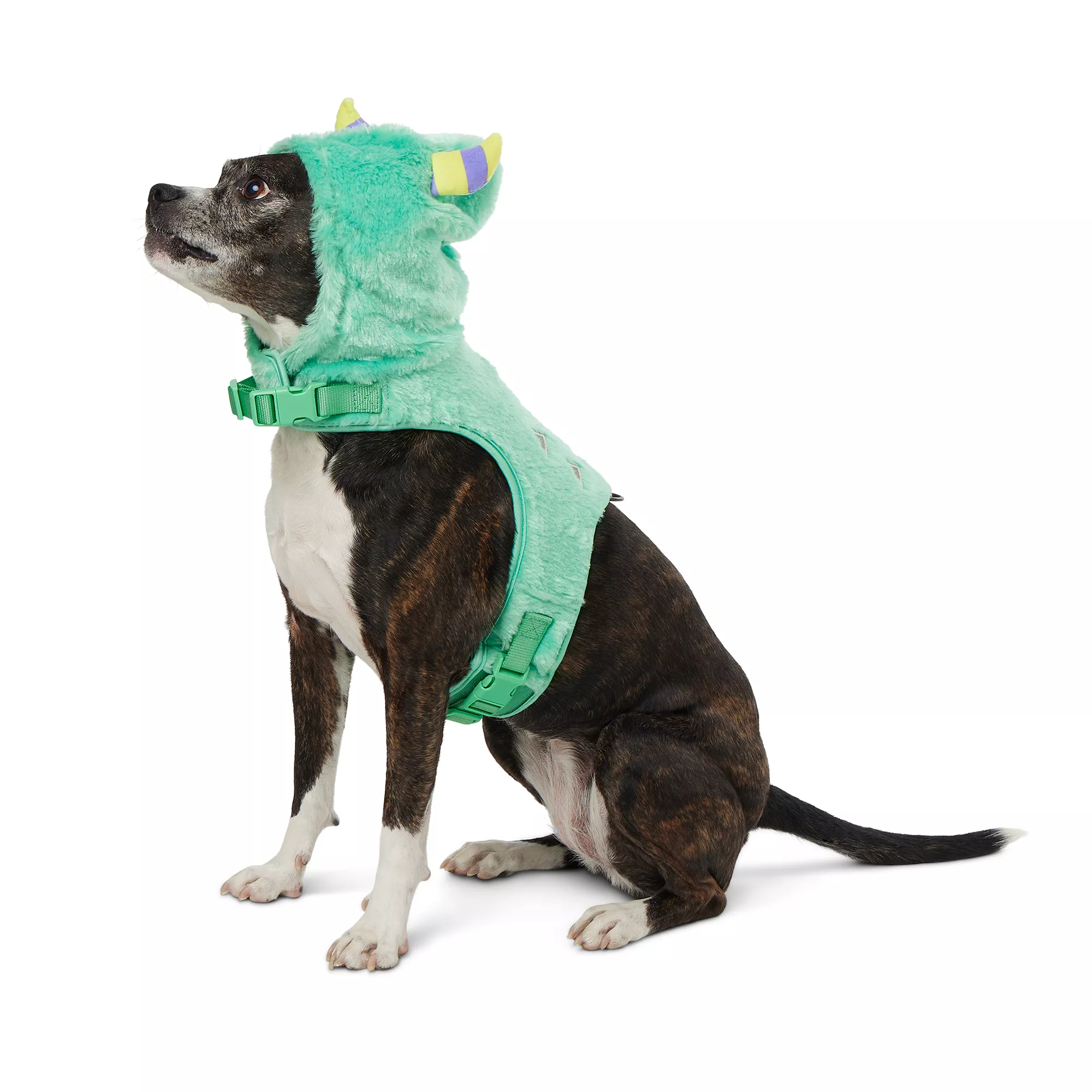 Thrills & Chills Monster Costume Harness and Vest