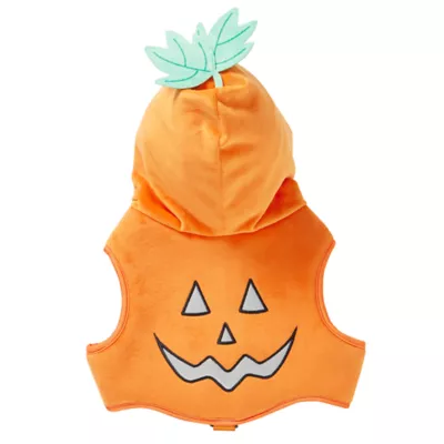 Product Thrills & Chills Pumpkin Costume Vest and Dog Harness