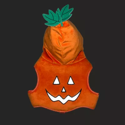 Product Thrills & Chills Pumpkin Costume Vest and Dog Harness