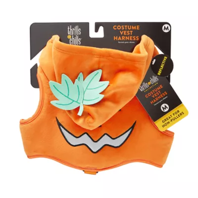 Product Thrills & Chills Pumpkin Costume Vest and Dog Harness